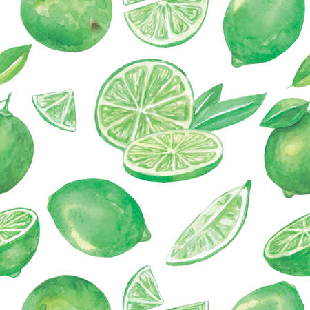 Lime watercolor pattern. Citrus fruits. Vector illustrationの写真素材