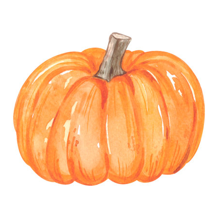 Watercolor autumn pumpkin. High quality illustrationの写真素材