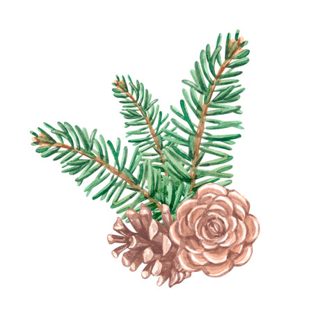 Watercolor winter fir branch the cone. Christmas decor. Pine cone with a Christmas tree branchの写真素材