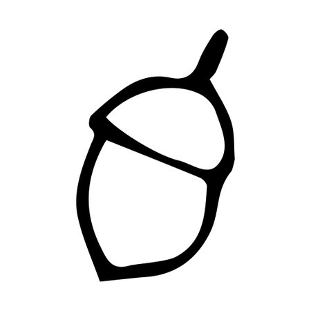Doodle acorn. Autumn decoration. Vector illustrationのイラスト素材