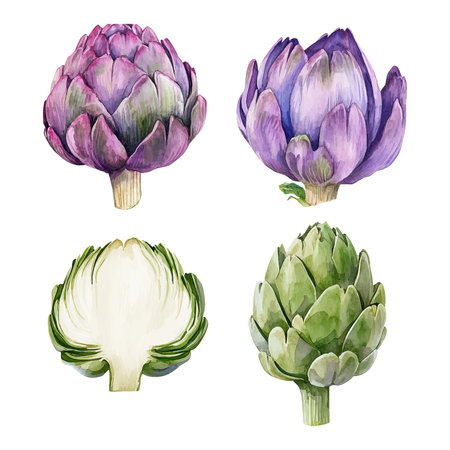 Watercolor artichoke vector set. Hand-painted vegetable illustrations.のイラスト素材