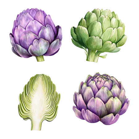 Vector set of artichokes with sliced elements in watercolor styleのイラスト素材