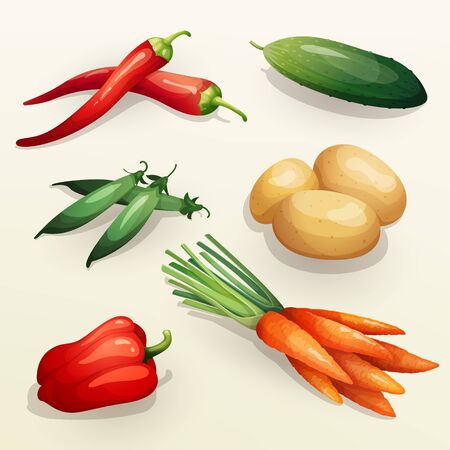 Set of various fresh vegetables including chili and bell peppers, cucumber, green peas, potatoes and carrots.のイラスト素材