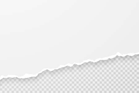 Realistic illustration of a ripped paper edge. Torn half sheet piece with soft shadow and place for text or image. Vector template for banner, header, advertisement design.のイラスト素材