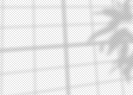 Shadow overlay effect for photo and mockup. Realistic soft blurred shadow of window frame with plant leaves and branches on transparent background. Vector illustration of wall with natural sunlightのイラスト素材