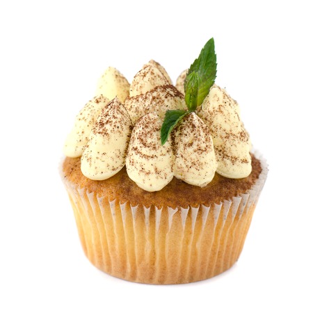 Cupcake Tiramisu decorated with cocoa powder and mintの写真素材
