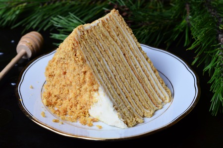 Honey Cake with Sour Creamの写真素材
