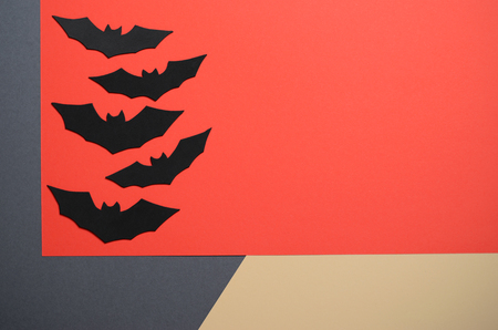 Black Bats on Orange Backround, Halloween Holiday Symbolの写真素材