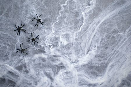 Cobweb with Black Spiders on Dark Cobweb Backround, Halloween Holiday Symbolの写真素材