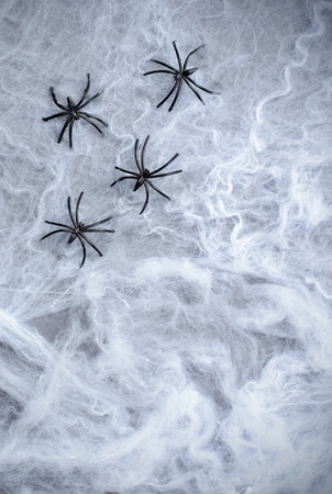 Cobweb with Black Spiders on Dark Cobweb Backround, Halloween Holiday Symbolの写真素材