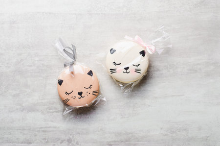 Adorable Cat Macaron Cookies, Delicious French Dessert on Bright Backgroundの写真素材