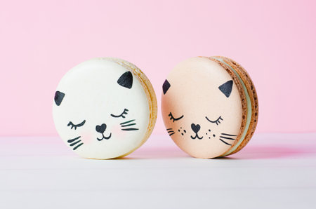Adorable Cat Macaron Cookies, Delicious French Dessert on Bright Backgroundの写真素材