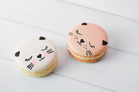 Adorable Cat Macaron Cookies, Delicious French Dessert on Bright Backgroundの写真素材