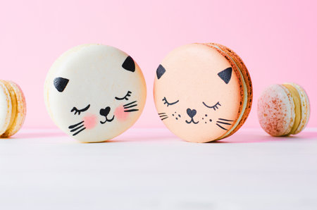 Adorable Cat Macaron Cookies, Delicious French Dessert on Bright Backgroundの写真素材