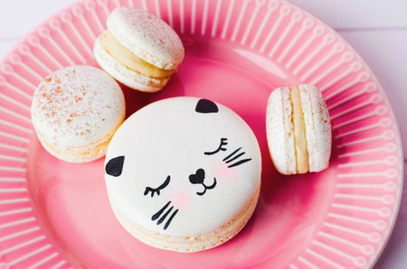 Adorable Cat Macaron Cookies, Delicious French Dessert on a Plate, Bright Backgroundの写真素材