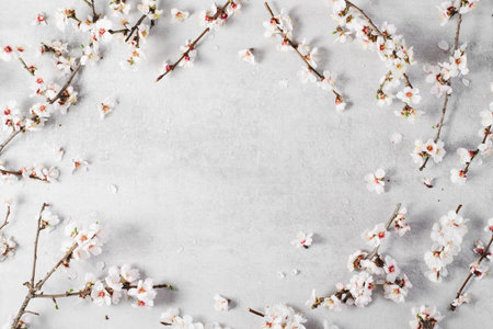 Cherry Tree Blossom, Spring Blossom on Bright Grey Background, Happy Easter, 8 March, Springtime...