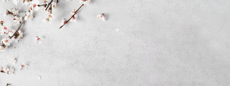 Cherry Tree Blossom, Spring Blossom on Bright Grey Background, Happy Easter, 8 March, Springtime Conceptの写真素材
