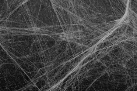 Cobweb on Black Background, Abstract Texture, Halloween Design, Spider Webの写真素材