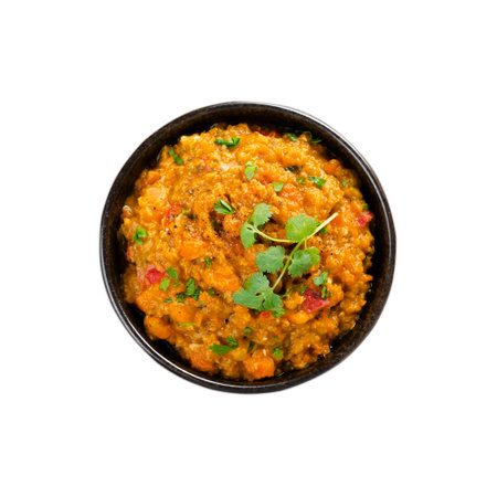 Red Lentil Indian Curry Dal, Lentil Dhal, Tasty Meal on White Isolated Backgroundの写真素材
