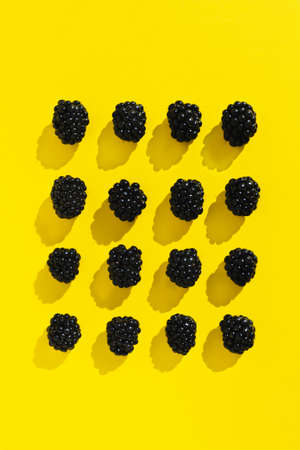Blackberries isolated on Illuminating yellow background. Trendy flat lay pattern. Summer juicy black berries in a row square composition top view. Many organic ripe blackberries in sunlight.の写真素材