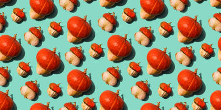 Seamless pattern with decorative ugly pumpkins on biscay green. Fall cozy photo concept. Season harvest vegetable. Festive for halloween, thanksgiving. Background for banner, post, story, social mediaの写真素材