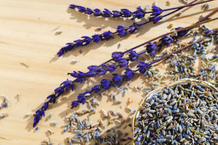 Porcelain bowl with dried lavender. Flower herbal tea drink. Aromatherapy, medicine ingredient. Calming beverageの写真素材