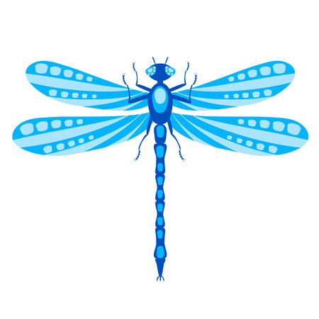 dragonfly isolated on whiteのイラスト素材
