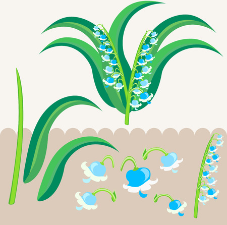 lily of the valley scrapbooking elementsのイラスト素材
