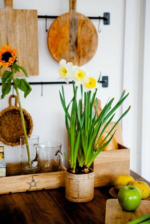 Daffodils in a flower pot on the tableの写真素材