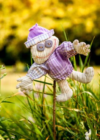 little scarecrowの写真素材