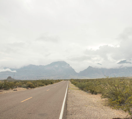 Road through the desert to the Chisos mountains at Big Bend National park in Texas