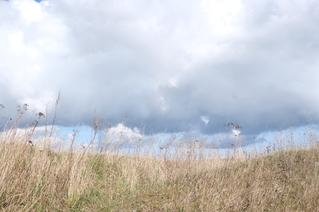 Clouds above grassの写真素材