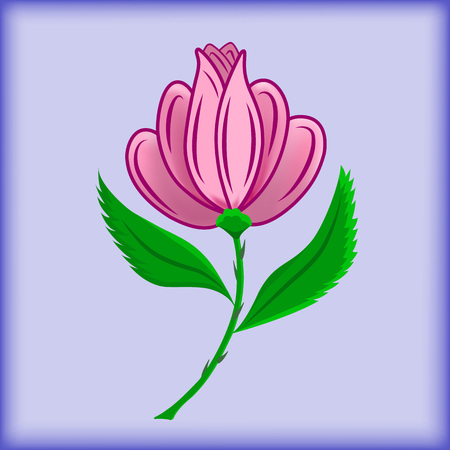 Vector illustration. Flower rose on a purple background.のイラスト素材
