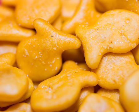Close up of bite sized cheddar cheese gold fish crackersの写真素材