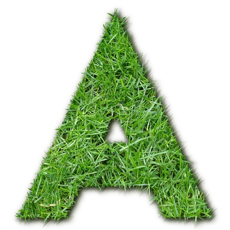 A grassの写真素材