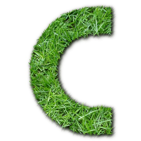 C grassの写真素材