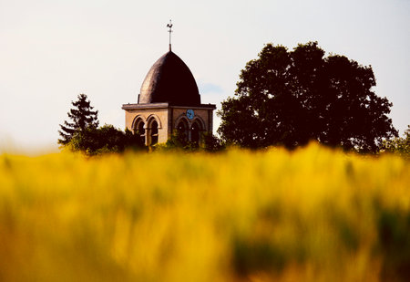 A church in the middle of a field of yellow wheat and treesの写真素材
