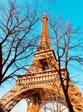 Eiffel Tower in Paris, France. Eiffel Tower is a wrought iron lattice tower in Paris, France.の写真素材