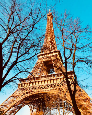 Eiffel Tower in Paris, France. Eiffel Tower is one of the most famous symbols of Paris.の写真素材