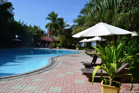 The street pool with plank beds surrounded with palm treesの写真素材