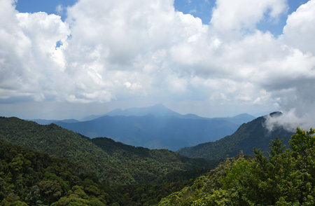 mountain views, low clouds cover the top, lots of trees and greeneryの写真素材