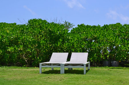 Two white sun loungers standing on the grass against a background of bright green tropical bushes...