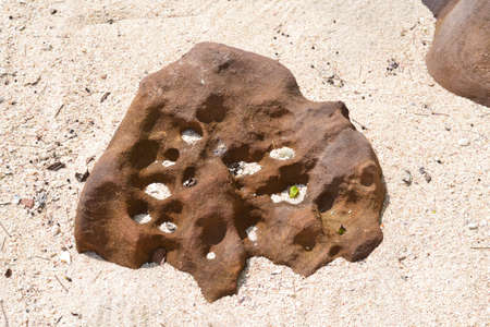 Brown porous uneven stone on white sand, its indentations are also filled with sandの写真素材