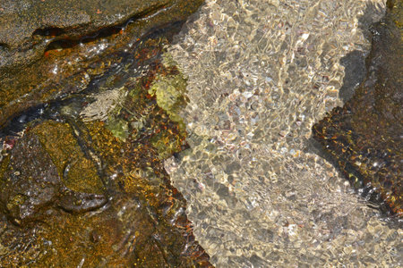 Sand and stones on under a layer of water on a sunny day with beautiful highlightsの写真素材