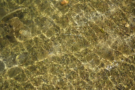 ripples and glare on the water surface, top view