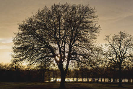 Sunset at Cow Bell Lakeの写真素材