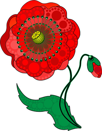 Red Poppy Flowerのイラスト素材