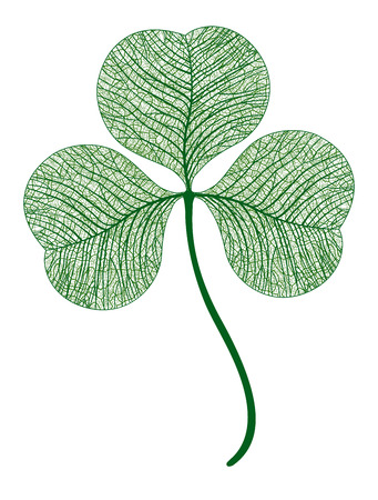 leaf clover isolated.  macro art illustration.のイラスト素材