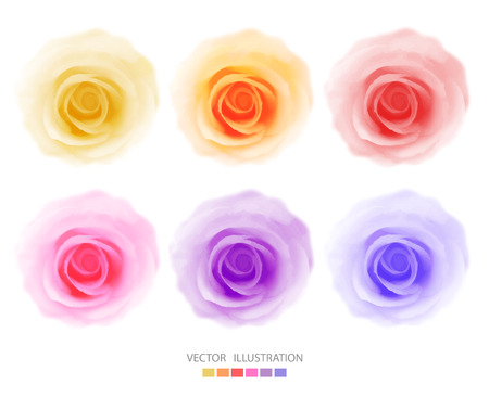 Roses flowers. Set of vector isolated illustrationのイラスト素材