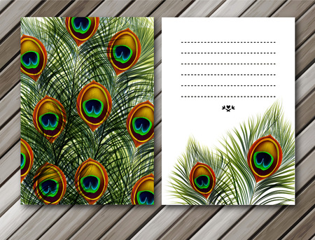 Beautiful peacock feathers cards or backgrounds with space for text.のイラスト素材